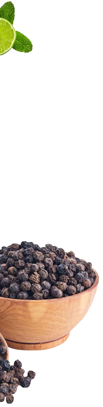 AadyaBhoomi Overseas LLP