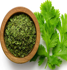Coriander Powder