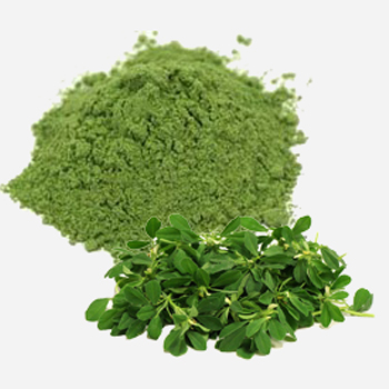 Kasturi Methi Powder