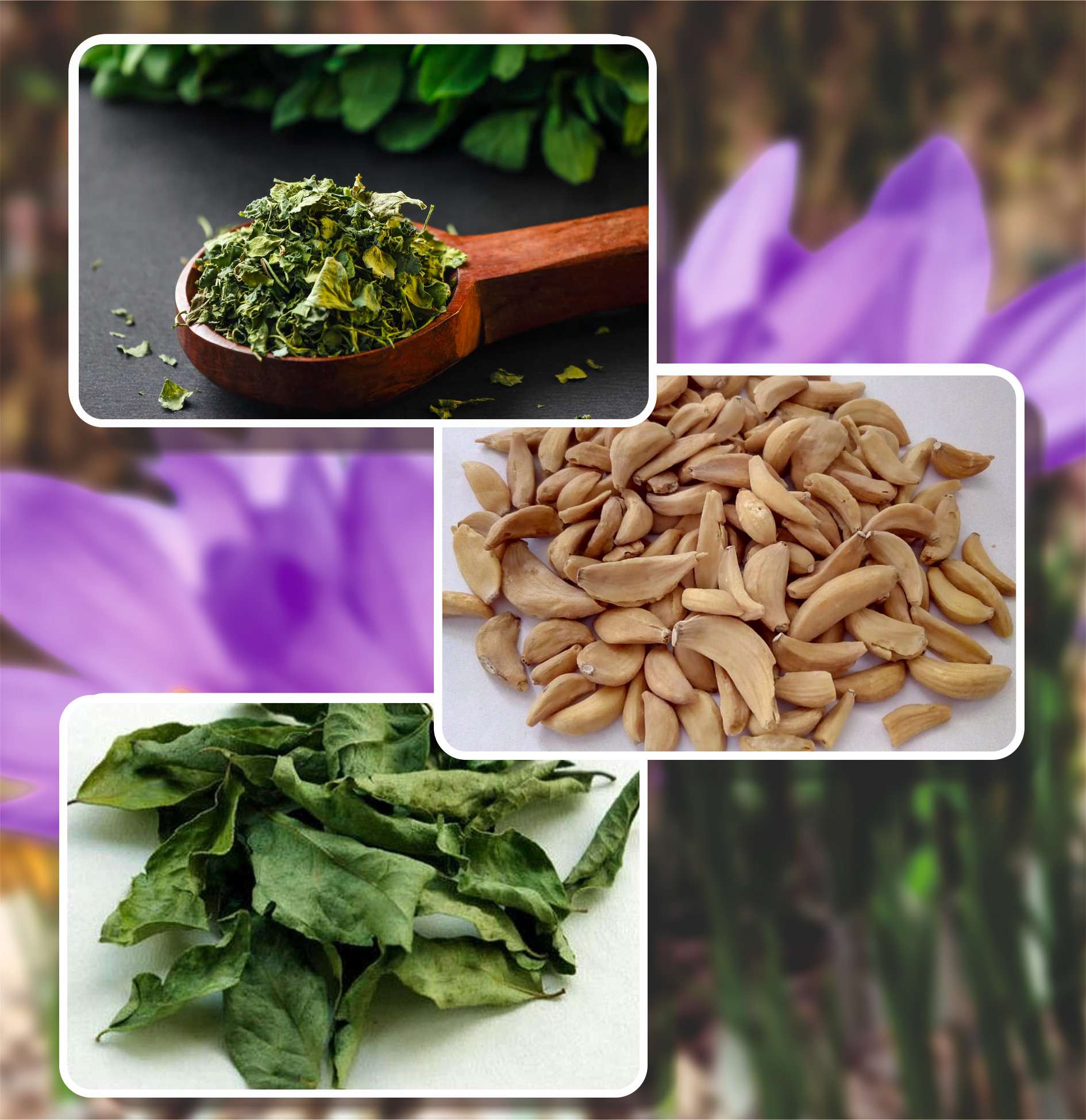 AadyaBhoomi Overseas LLP