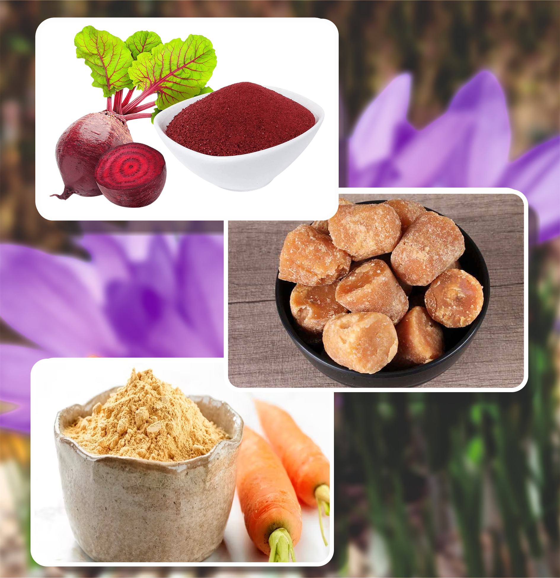 AadyaBhoomi Overseas LLP