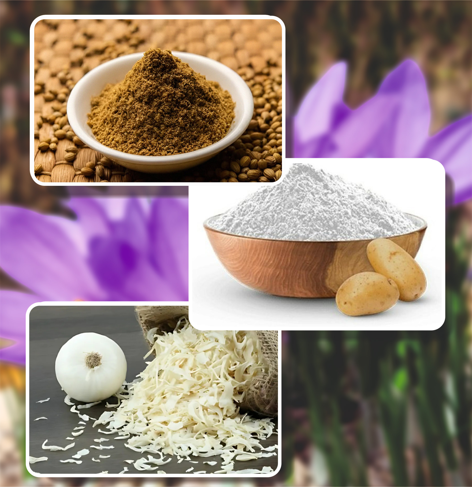 AadyaBhoomi Overseas LLP